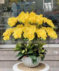 Hoa giả, Hoa lụa đẹp, CHẬU LAN HỒ ĐIỆP VÀNG