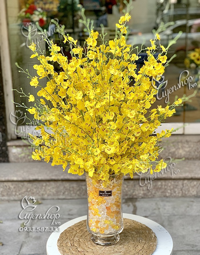 Zoom với BÌNH LAN VŨ NỮ VÀNG SANG TRỌNG