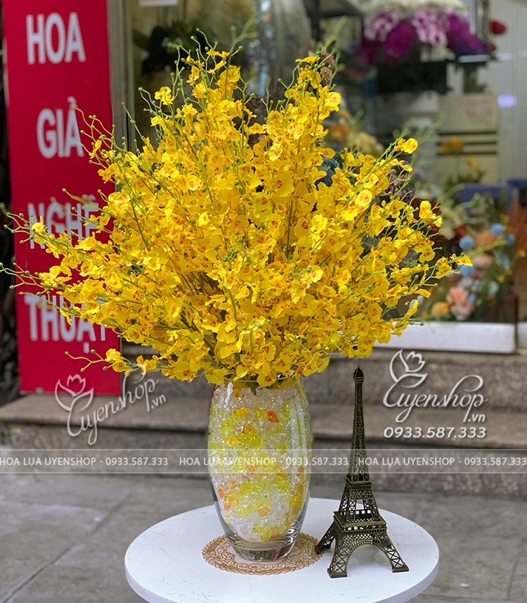 Zoom với BÌNH HOA LAN VŨ NỮ