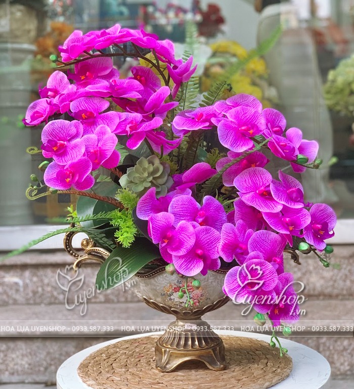 Zoom với THUYỀN HOA LAN HỒ ĐIỆP TÍM