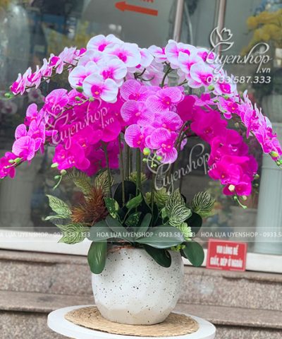 CHẬU LAN HỒ ĐIỆP PHÒNG KHÁCH Hoa giả, Hoa lụa đẹp, CHẬU LAN HỒ ĐIỆP PHÒNG KHÁCH