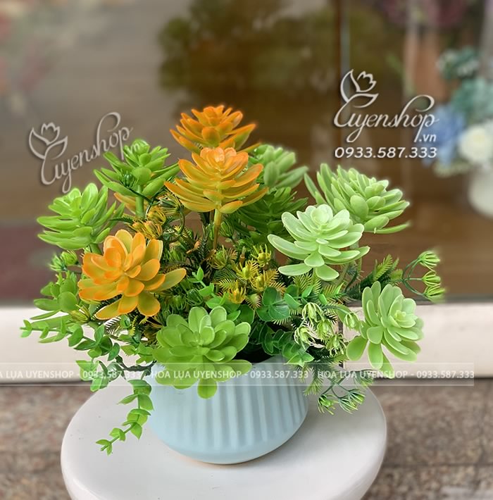 Zoom với CHẬU HOA SEN ĐÁ NHỎ