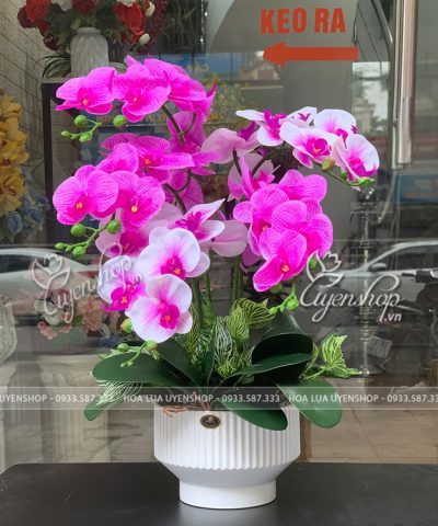 CHẬU LAN HỒ ĐIỆP NHỎ Hoa giả, Hoa lụa đẹp, CHẬU LAN HỒ ĐIỆP NHỎ