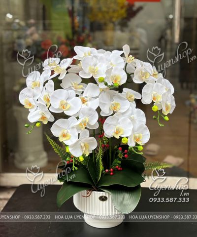 CHẬU LAN HỒ ĐIỆP TRẮNG Hoa giả, Hoa lụa đẹp, CHẬU LAN HỒ ĐIỆP TRẮNG