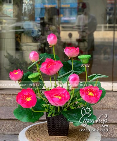 CHẬU SEN THÁI NHỎ ĐỂ BÀN Hoa giả, Hoa lụa đẹp, CHẬU SEN THÁI NHỎ ĐỂ BÀN