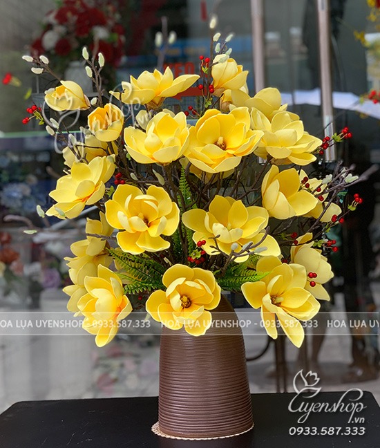 Zoom với BÌNH MỘC LAN VÀNG