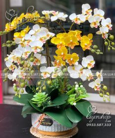 Hoa giả, Hoa lụa đẹp, CHẬU HOAA LAN TIỂU HỒ ĐIỆP NHỎ ĐỂ BÀN