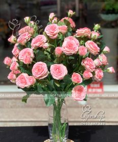 BÌNH HOA HỒNG PHẤN THẢ TỰ NHIÊN Hoa giả, Hoa lụa đẹp, BÌNH HOA HỒNG PHẤN THẢ TỰ NHIÊN