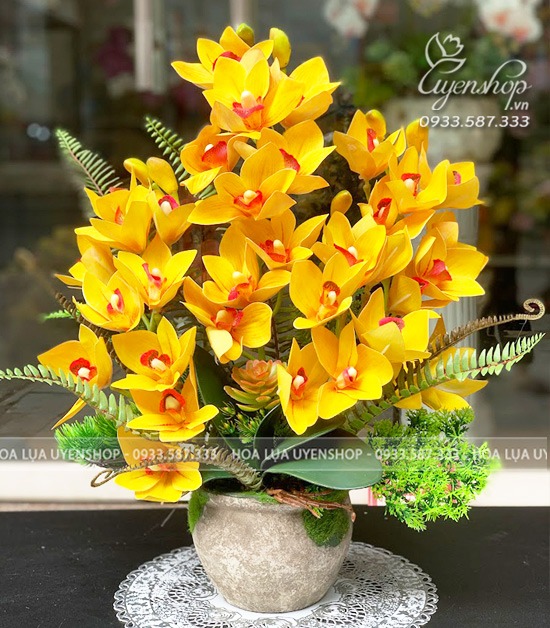 Zoom với CHẬU HOA ĐỊA VÀNG NHỎ ĐỂ BÀN