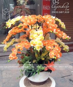 Hoa giả, Hoa lụa đẹp, CHẬU LAN HỒ ĐIỆP VÀNG CAM NỔI BẬT