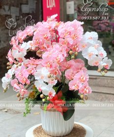 Hoa giả, Hoa lụa đẹp, CHẬU LAN HỒ ĐIỆP HỒNG PHẤN
