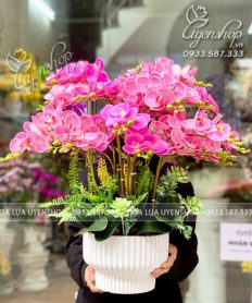 Hoa giả, Hoa lụa đẹp, CHẬU LAN HỒ ĐIỆP TÍM HỒNG