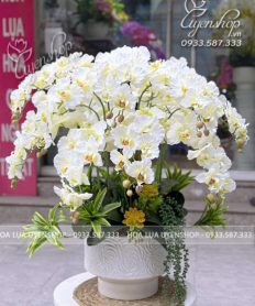 Hoa giả, Hoa lụa đẹp, CHẬU LAN HỒ ĐIỆP TRẮNG