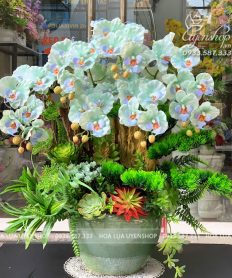 Hoa giả, Hoa lụa đẹp, CHẬU LAN HỒ ĐIỆP TONE XANH PHỐI LŨA