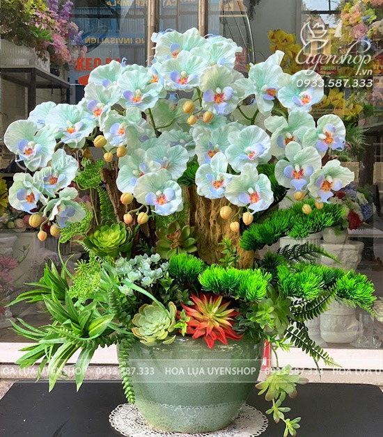 Zoom với CHẬU LAN HỒ ĐIỆP TONE XANH PHỐI LŨA