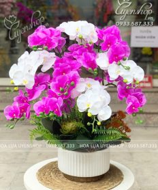 Hoa giả, Hoa lụa đẹp, CHẬU LAN HỒ ĐIỆP TÍM