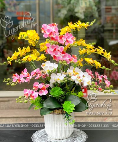 CHẬU LAN TIỂU HỒ ĐIỆP MIX MÀU RỰC RỠ Hoa giả, Hoa lụa đẹp, CHẬU LAN TIỂU HỒ ĐIỆP MIX MÀU RỰC RỠ