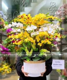 Hoa giả, Hoa lụa đẹp, Chậu Lan Tiểu Hồ Điệp Vàng