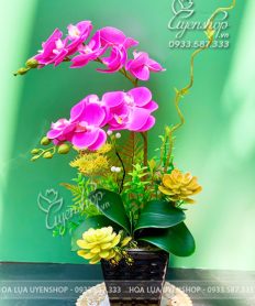 Hoa giả, Hoa lụa đẹp, CHẬU LAN HỒ ĐIỆP NHỎ ĐỂ BÀN