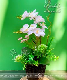 Hoa giả, Hoa lụa đẹp, CHẬU LAN HỒ ĐIỆP TRẮNG NHỎ