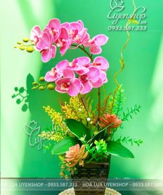 Hoa giả, Hoa lụa đẹp, CHẬU LAN LAN HỒ ĐIỆP HỒNG NHỎ