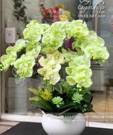 Hoa giả, Hoa lụa đẹp, CHẬU LAN HỒ ĐIỆP CỐM