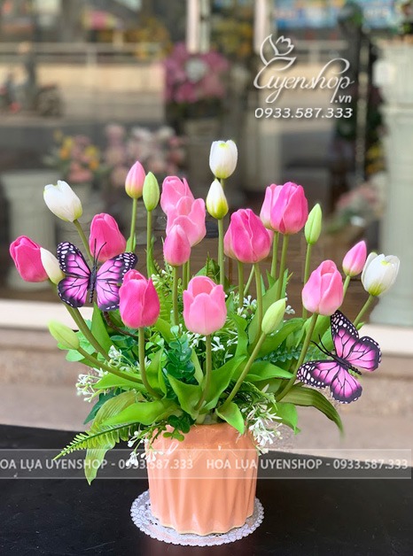 Zoom với BÌNH HOA TULIP