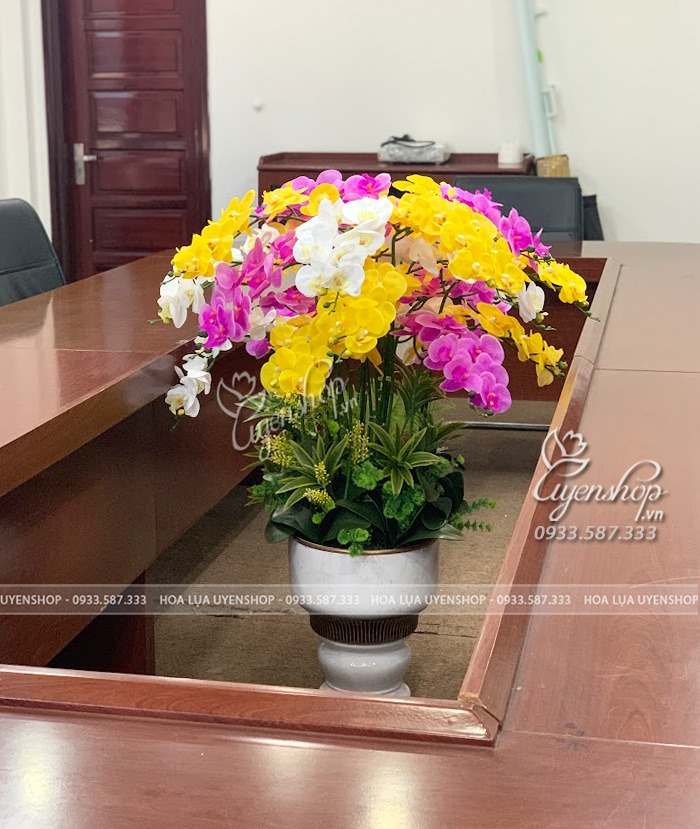 Zoom với BÌNH HOA LAN MIX MÀU TRONG TRÍ PHÒNG HỌP, HỘI NGHỊ