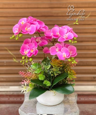 CHẬU LAN HỒ ĐIỆP NHỎ ĐỂ BÀN Hoa giả, Hoa lụa đẹp, CHẬU LAN HỒ ĐIỆP NHỎ ĐỂ BÀN