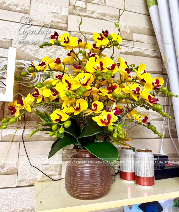 Zoom với BÌNH HOA LAN TIỂU HỒ ĐIỆP VÀNG