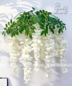 Hoa giả, Hoa lụa đẹp, GIỎ HOA TỬ ĐẰNG TRẮNG TREO TƯỜNG