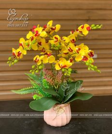 Hoa giả, Hoa lụa đẹp, CHẬU LAN TIỂU HỒ ĐIỆP ĐỂ BÀN