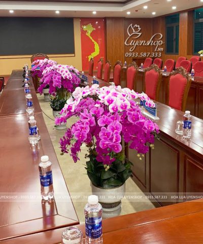 CHẬU LAN HỒ ĐIỆP MIX TONE TÍM TRANG TRÍ PHÒNG HỌP Hoa giả, Hoa lụa đẹp, CHẬU LAN HỒ ĐIỆP MIX TONE TÍM TRANG TRÍ PHÒNG HỌP