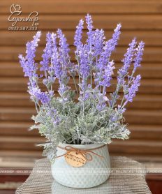 Hoa giả, Hoa lụa đẹp, CHẬU HOA LAVENDER NHỎ ĐỂ BÀN