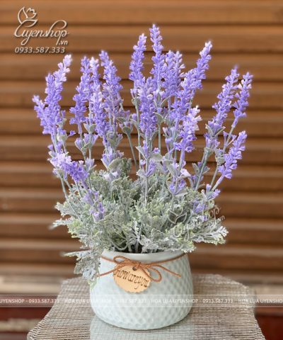 CHẬU HOA LAVENDER NHỎ ĐỂ BÀN Hoa giả, Hoa lụa đẹp, CHẬU HOA LAVENDER NHỎ ĐỂ BÀN