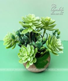 Hoa giả, Hoa lụa đẹp, SEN ĐÁ NHỎ ĐỂ BÀN DECOR