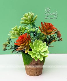 Hoa giả, Hoa lụa đẹp, CHẬU SEN ĐÁ NHỎ