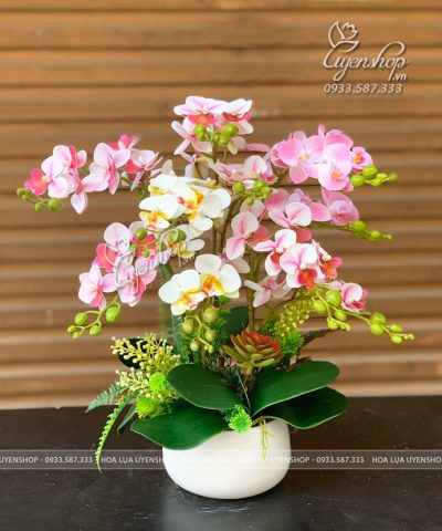 CHẬU LAN TIỂU HỒ ĐIỆP TONE HỒNG Hoa giả, Hoa lụa đẹp, CHẬU LAN TIỂU HỒ ĐIỆP TONE HỒNG