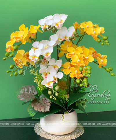 CHẬU LAN TIỂU HỒ ĐIỆP VÀNG Hoa giả, Hoa lụa đẹp, CHẬU LAN TIỂU HỒ ĐIỆP VÀNG