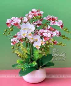 Hoa giả, Hoa lụa đẹp, CHẬU LAN TIỂU HỒ ĐIỆP HỒNG