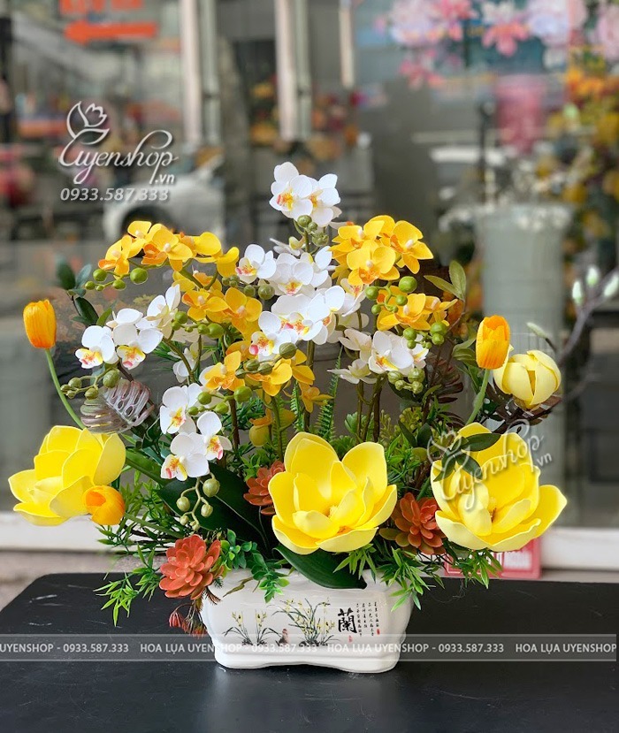 Zoom với CHẬU LAN TIỂU HỒ ĐIỆP MIX MẪU ĐƠN